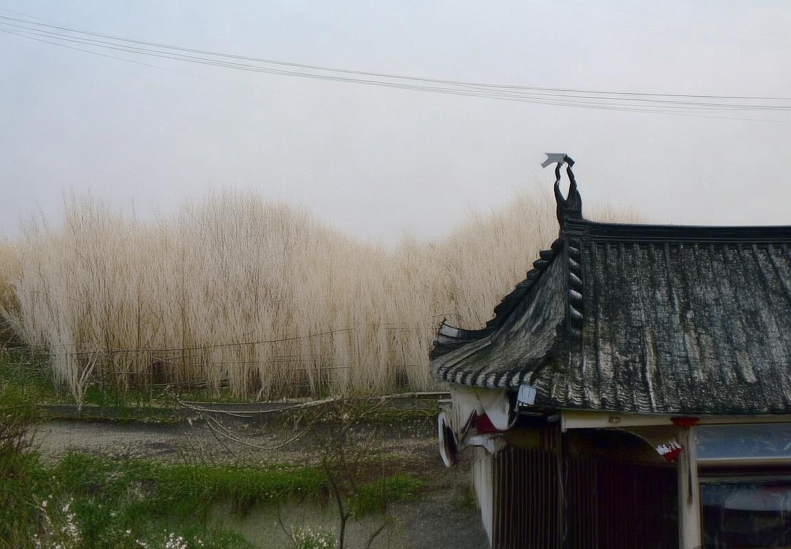 多特蒙德VS佩德伯恩：德甲强强对决前瞻分析